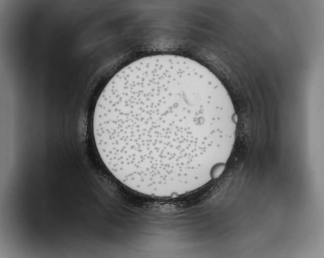 X0000093390640200711081606