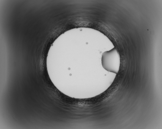 X0000093390641200711081606