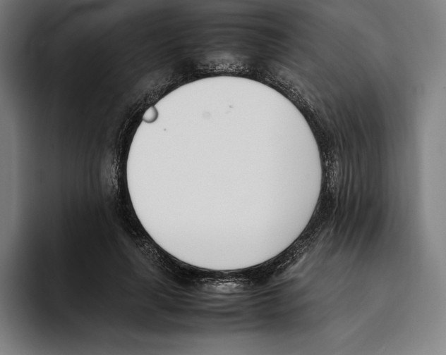 X0000093390643200711081606