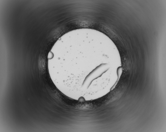 X0000093390646200711081606