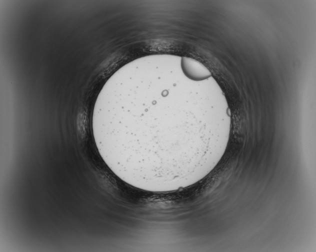 X0000093390648200711081606