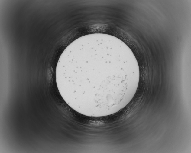 X0000093390649200711081606