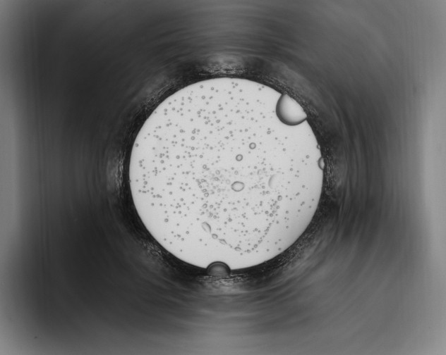 X0000093390652200711081606