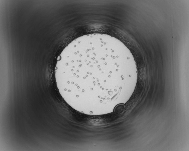 X0000093390653200711081606