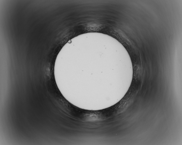 X0000093390655200711081606
