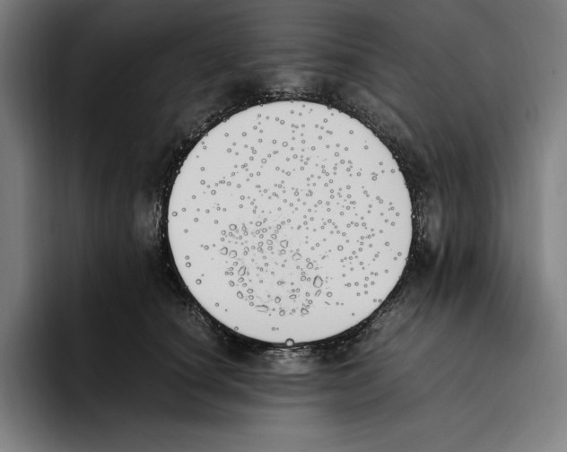 X0000093390660200711081607