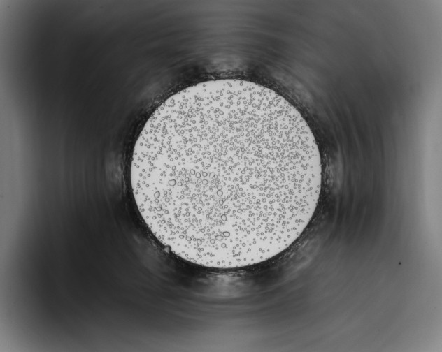 X0000093390662200711081607