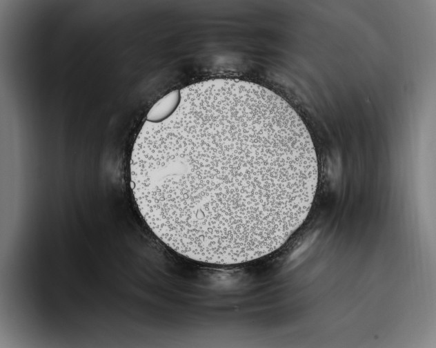 X0000093390663200711081607