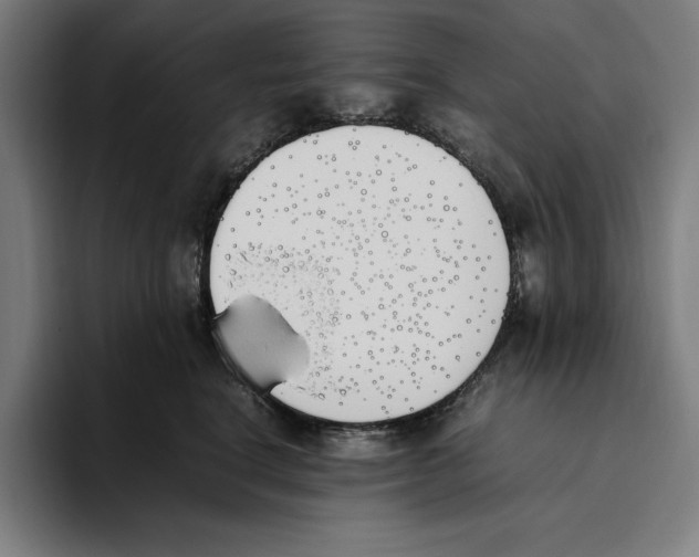X0000093390664200711081607