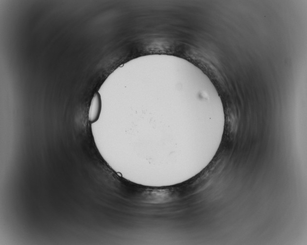 X0000093390665200711081607