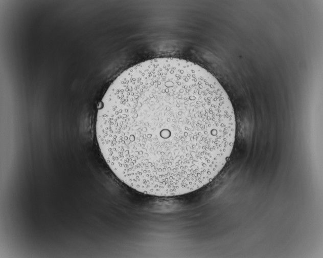 X0000093390666200711081607