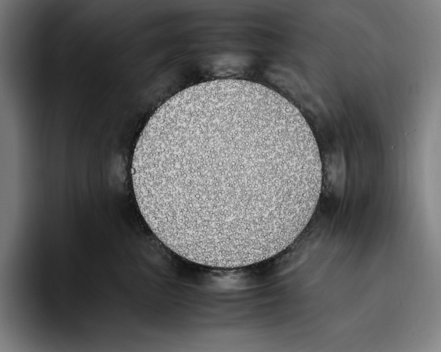 X0000093390667200711081607