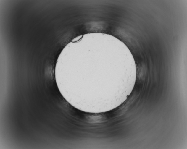 X0000093390669200711081607