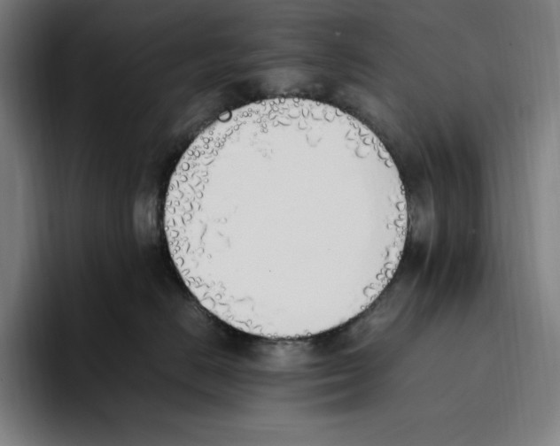 X0000093390670200711081607
