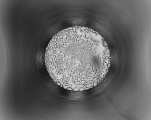 X0000093390671200711081607