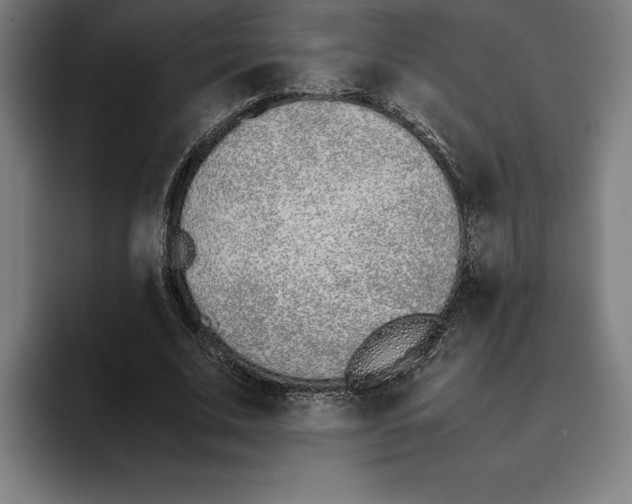 X0000093390679200711081606