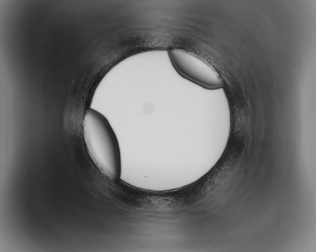X0000093390681200711081606