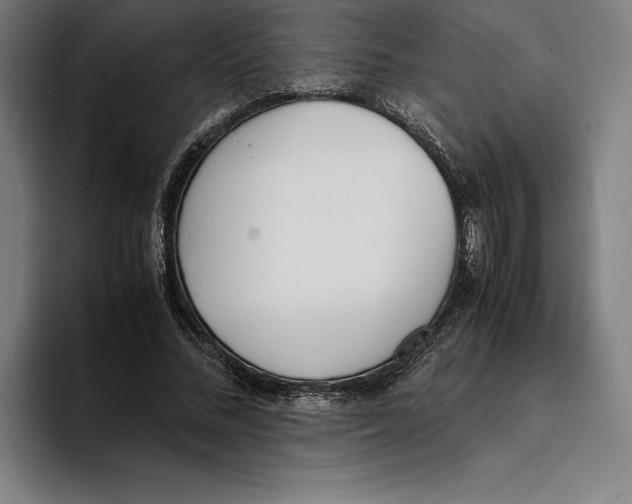 X0000093390684200711081606