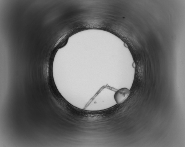 X0000093390686200711081606