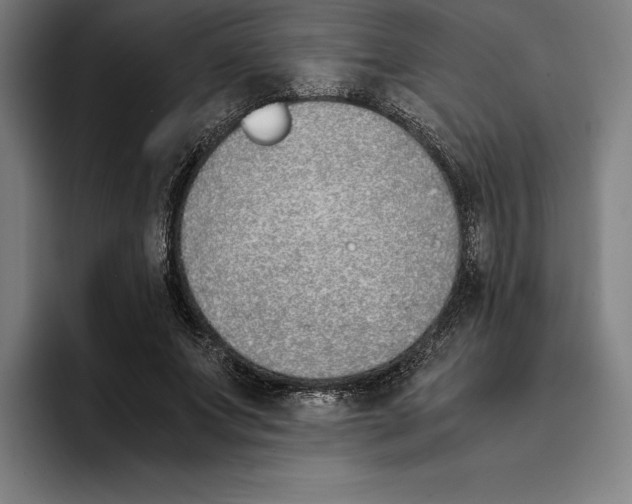 X0000093390687200711081606