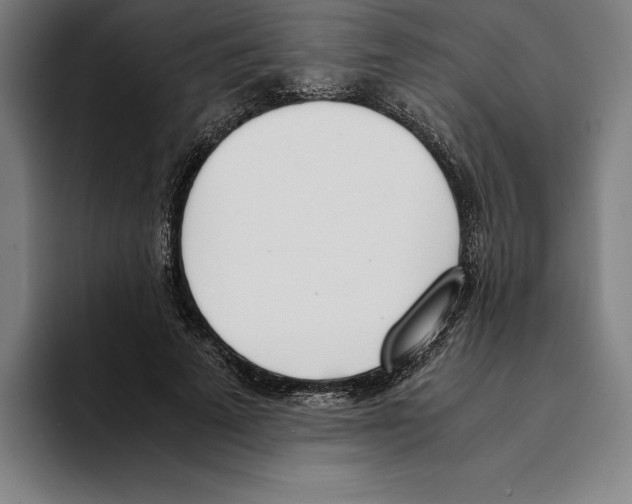 X0000093390689200711081606