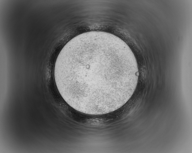 X0000093390691200711081606