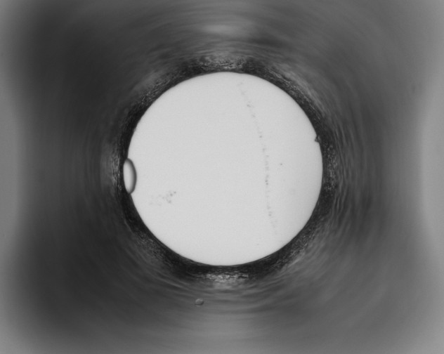 X0000093390693200711081606
