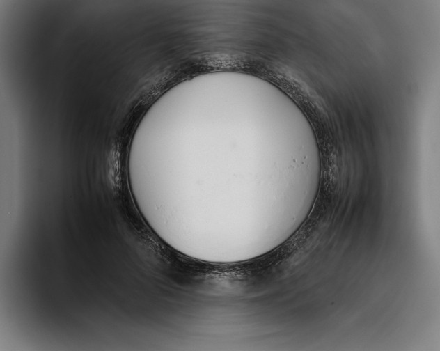 X0000093390696200711081606