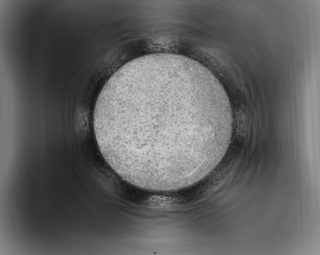 X0000093390699200711081606