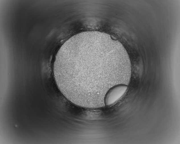 X0000093390707200711081606