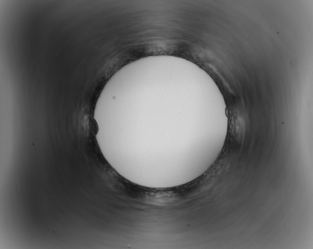 X0000093390716200711081605
