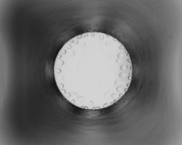 X0000093390719200711081605