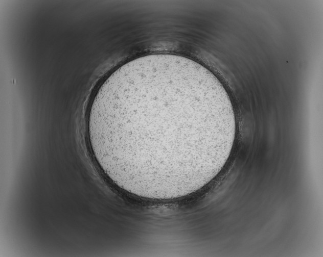 X0000093390721200711081605