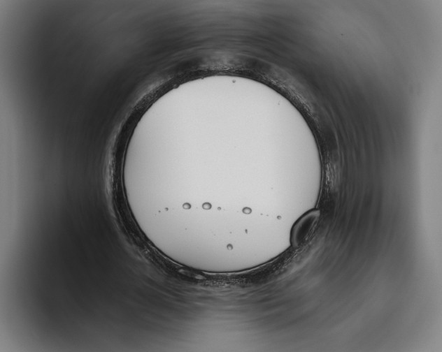 X0000093390724200711081605