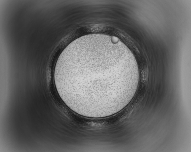 X0000093390733200711081605