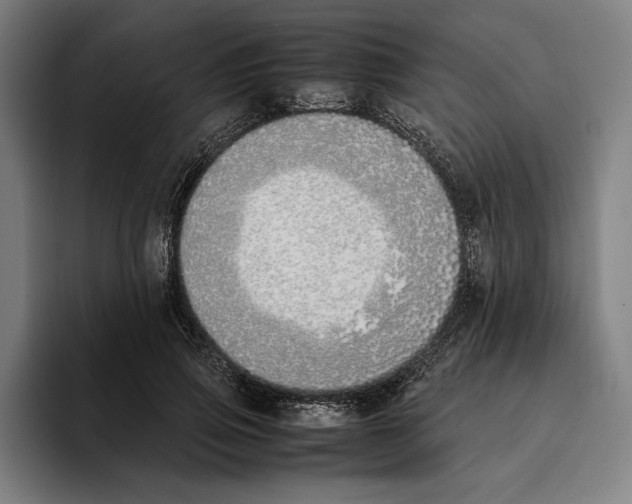 X0000093390741200711081605