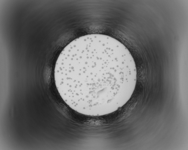 X0000093390742200711081605