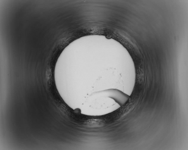 X0000093390748200711081605