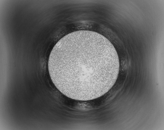 X0000093390753200711081605