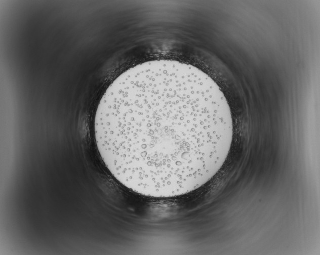X0000093390754200711081605