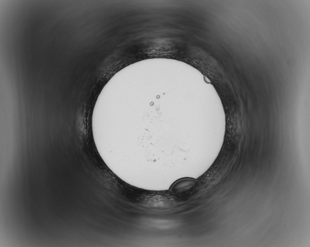 X0000093390755200711081605