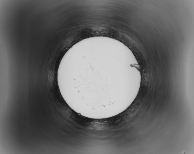 X0000093390756200711081605