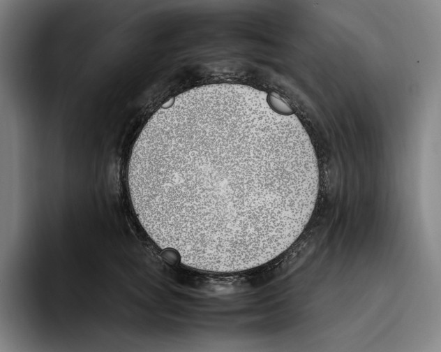 X0000093390757200711081605