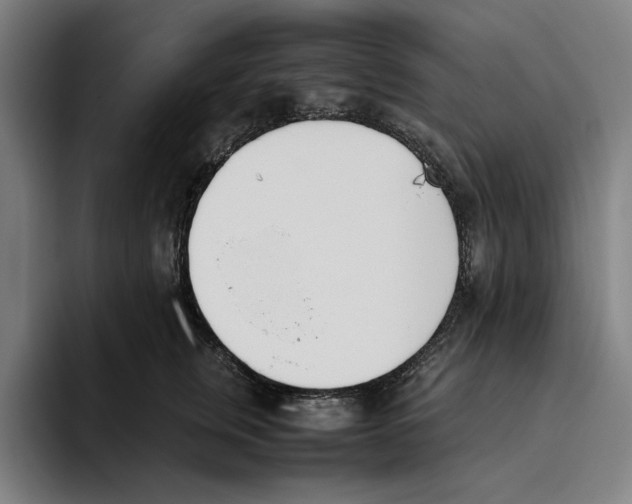 X0000093390759200711081605