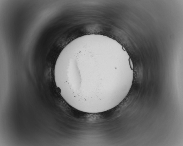 X0000093390762200711081605