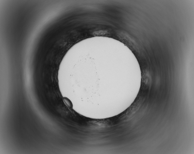 X0000093390763200711081605