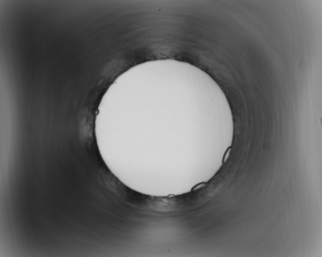 X0000093390768200711081605