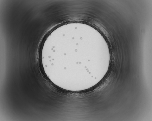 X0000093390779200711081605