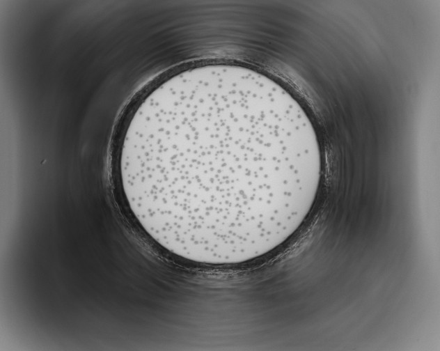 X0000093390780200711081605