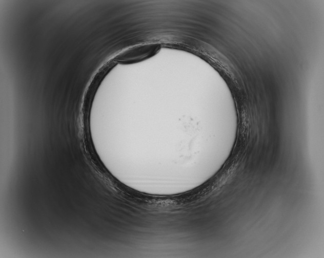 X0000093390784200711081605